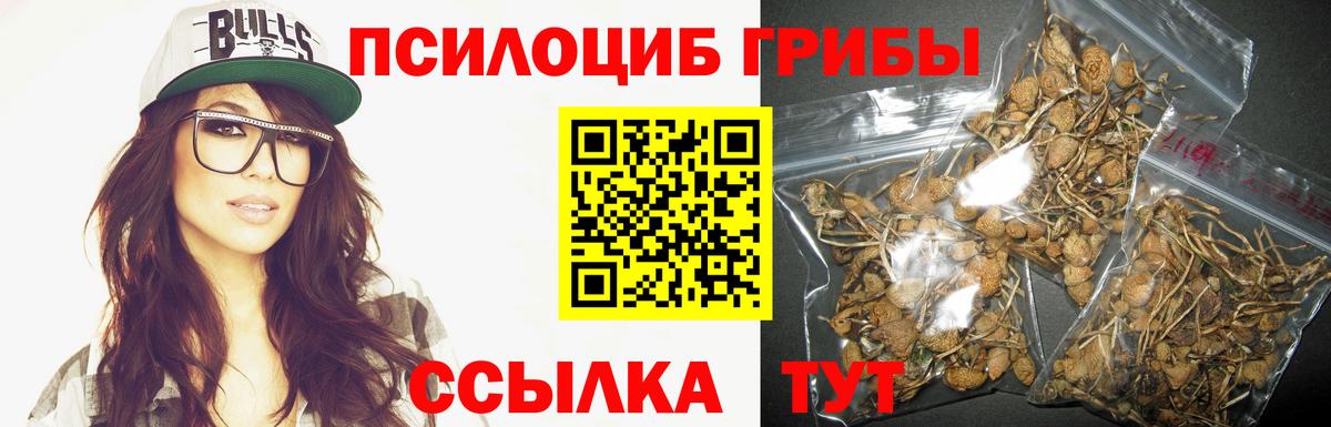 Галлюциногенные грибы Cubensis  Вход с VPN  Орск  Галлюциногенные грибы прущие грибы 